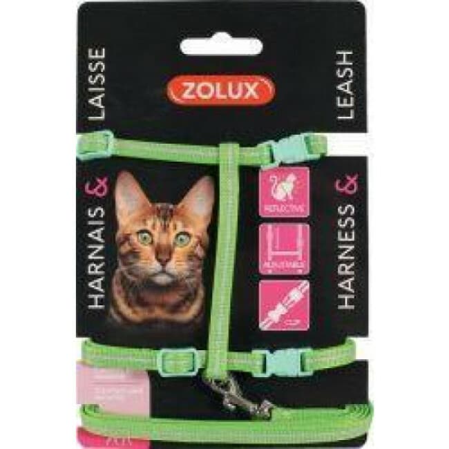 Kit sellerie réfléchissant pour chat - Laisse 1,20 m et harnais réglable