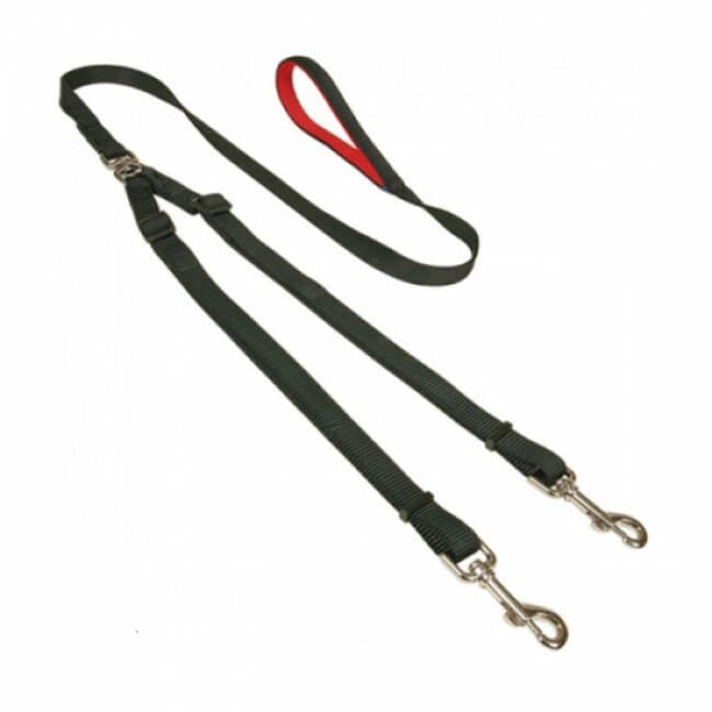 Laisse double en nylon réglable pour 2 chiens