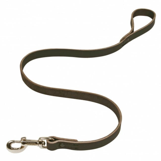 Laisse en cuir chromé pour chien