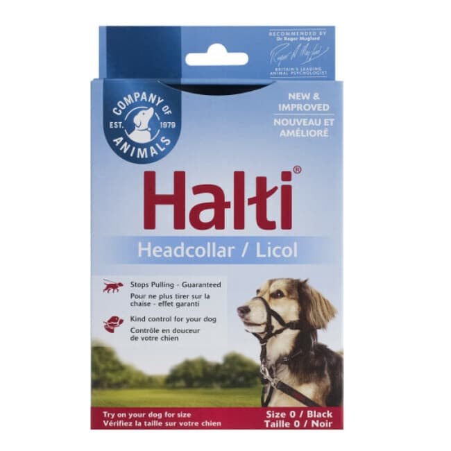 Licol de dressage Halti pour chien
