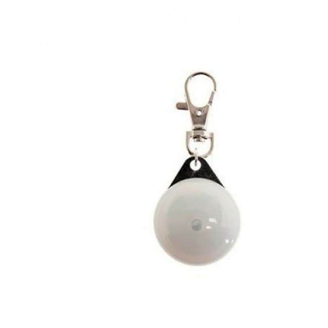 Pendentif lumineux Blinki Disc Maxi Safe pour chien