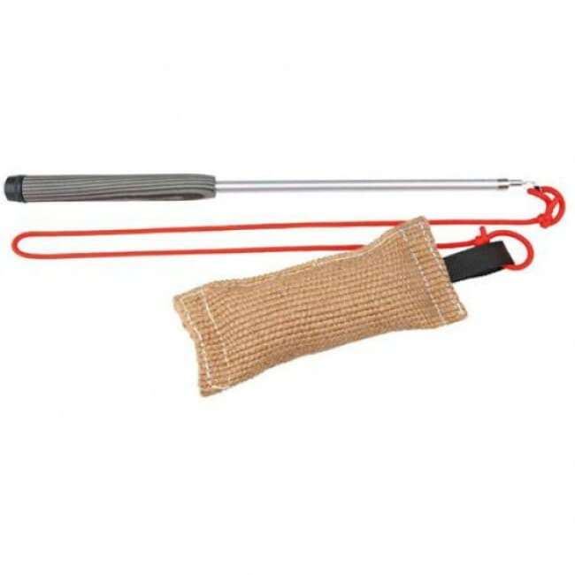 Tige de leurre Trixie Dog Activity pour chien