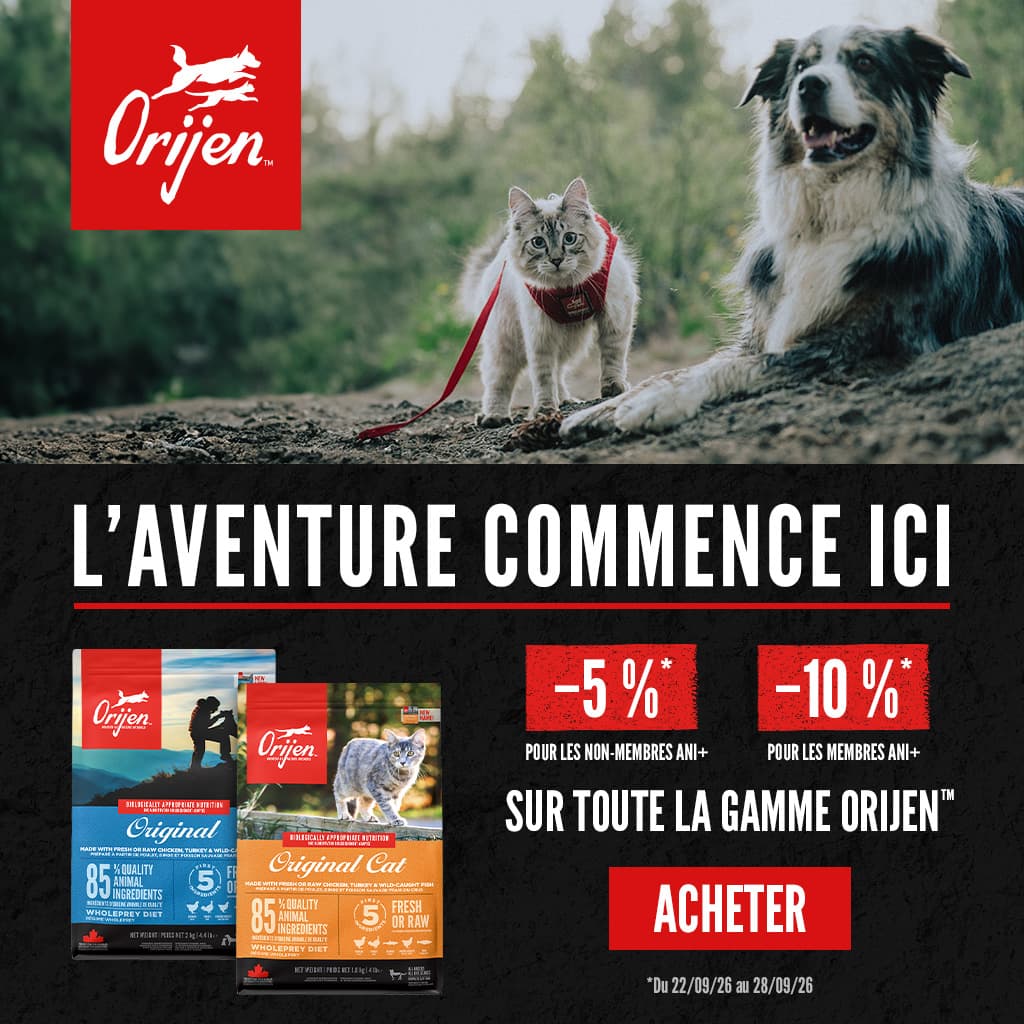 ORIJEN