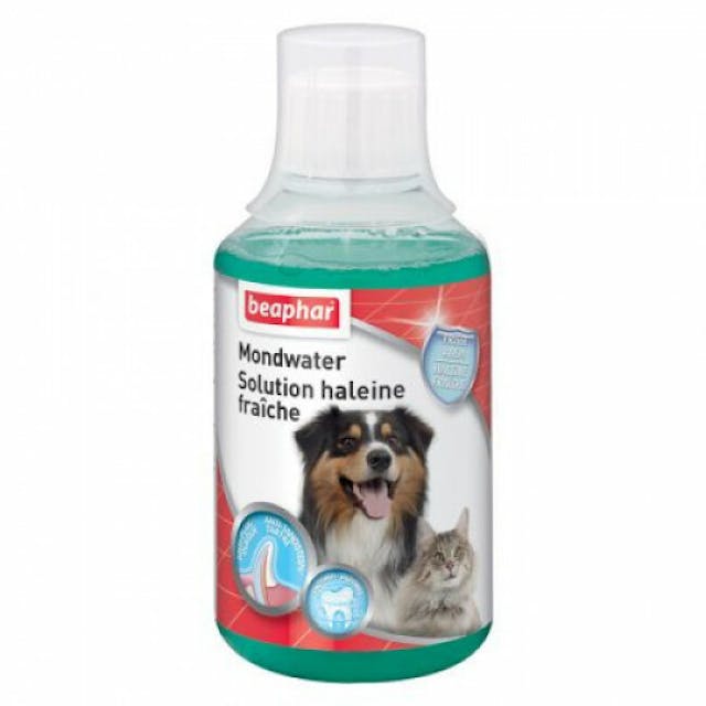 Solution haleine fraîche Beaphar pour chat ou chien