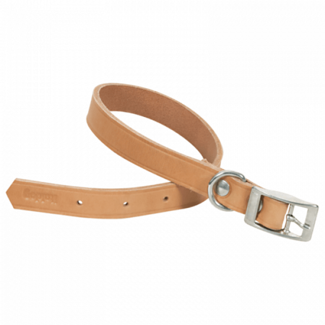 Collier en cuir naturel pour chien Chapuis Sellerie