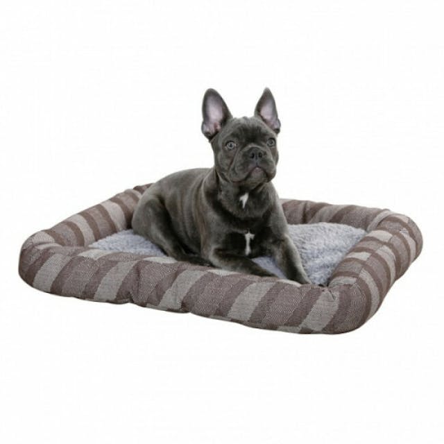 Coussin pablo auto chauffant pour chien Kerbl