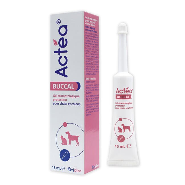 Gel Actea Buccal