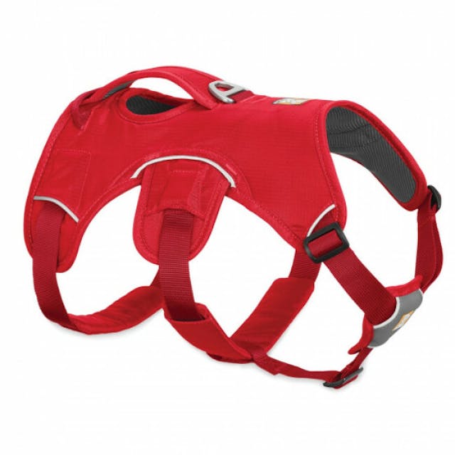 Harnais Web Master Ruffwear pour chien