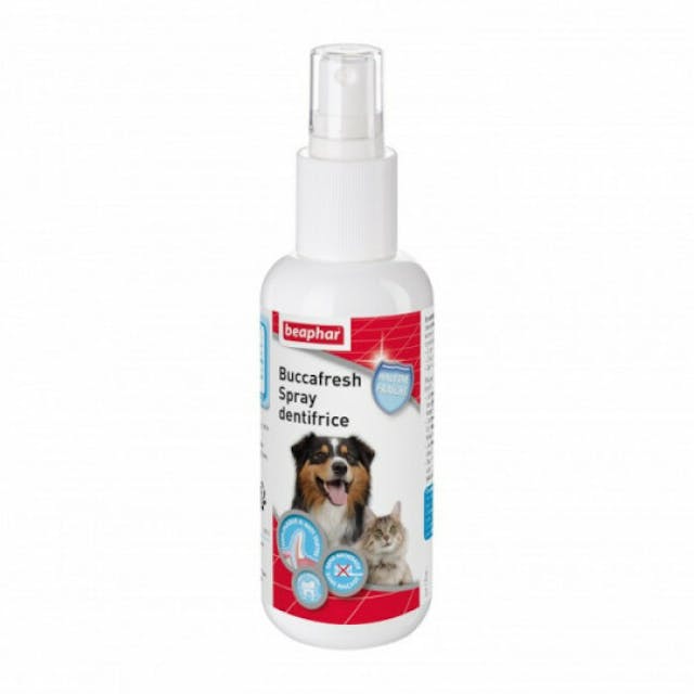 Spray dentifrice Buccafresh Beaphar