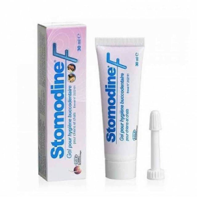 Stomodine F Gel dentaire MP Labo chien et chat