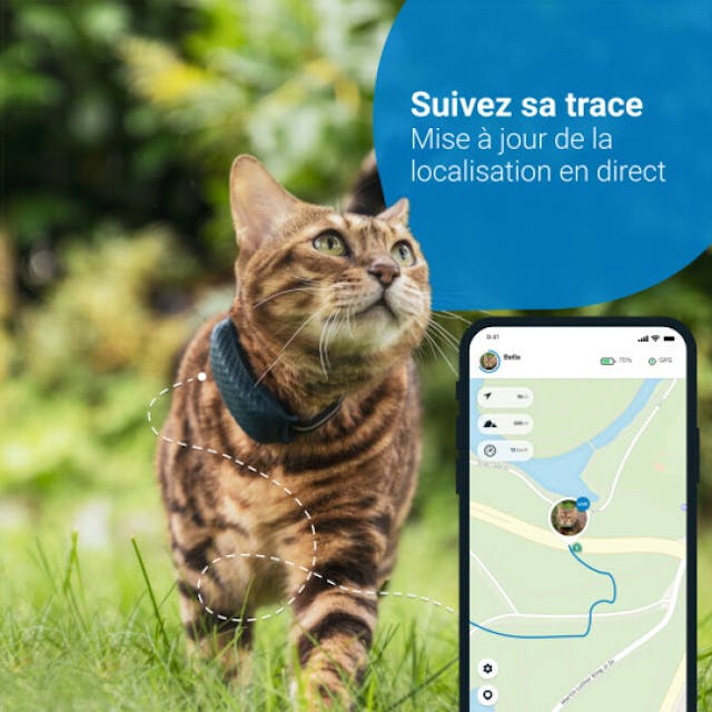 Traceur GPS CAT4 Tractive avec suivi d'activité pour chat