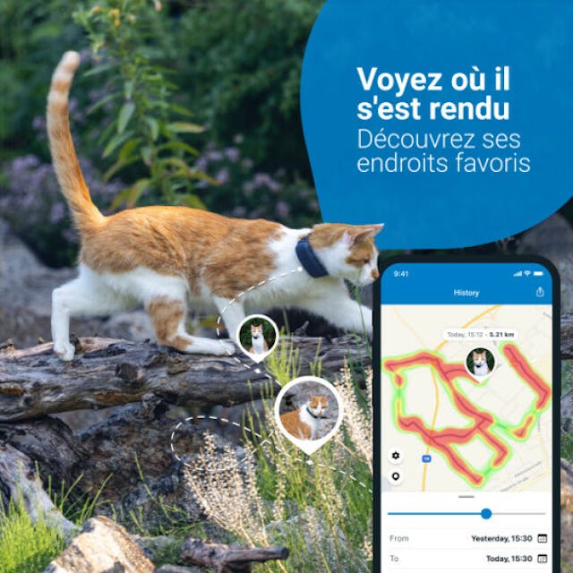 Traceur GPS CAT4 Tractive avec suivi d'activité pour chat