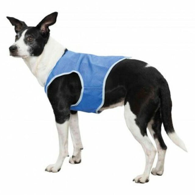 Veste rafraîchissante Trixie pour chien