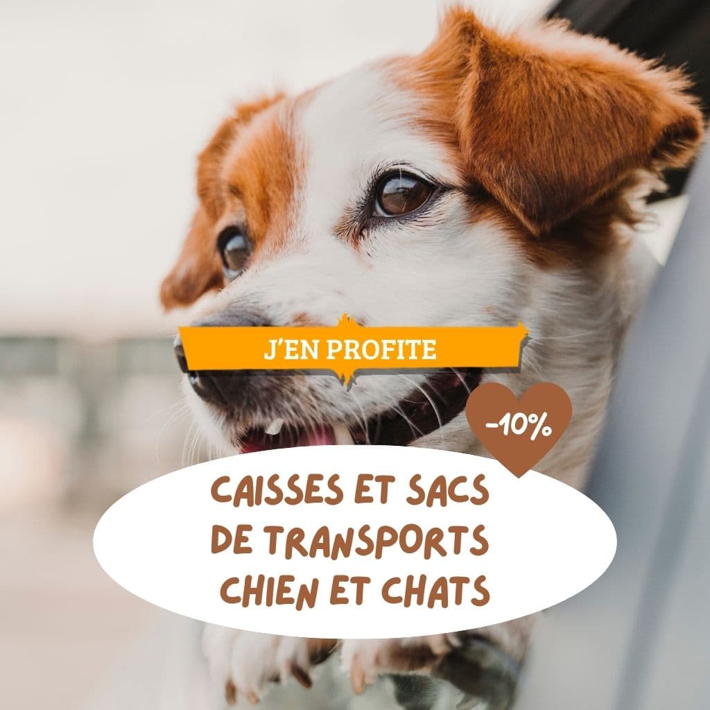 Caisses et sacs de transports chien et chats