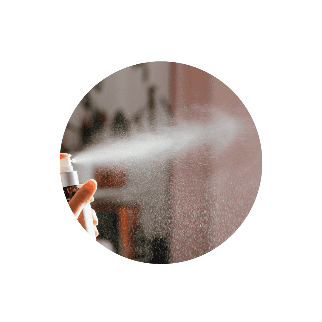 Herbe à chat en spray