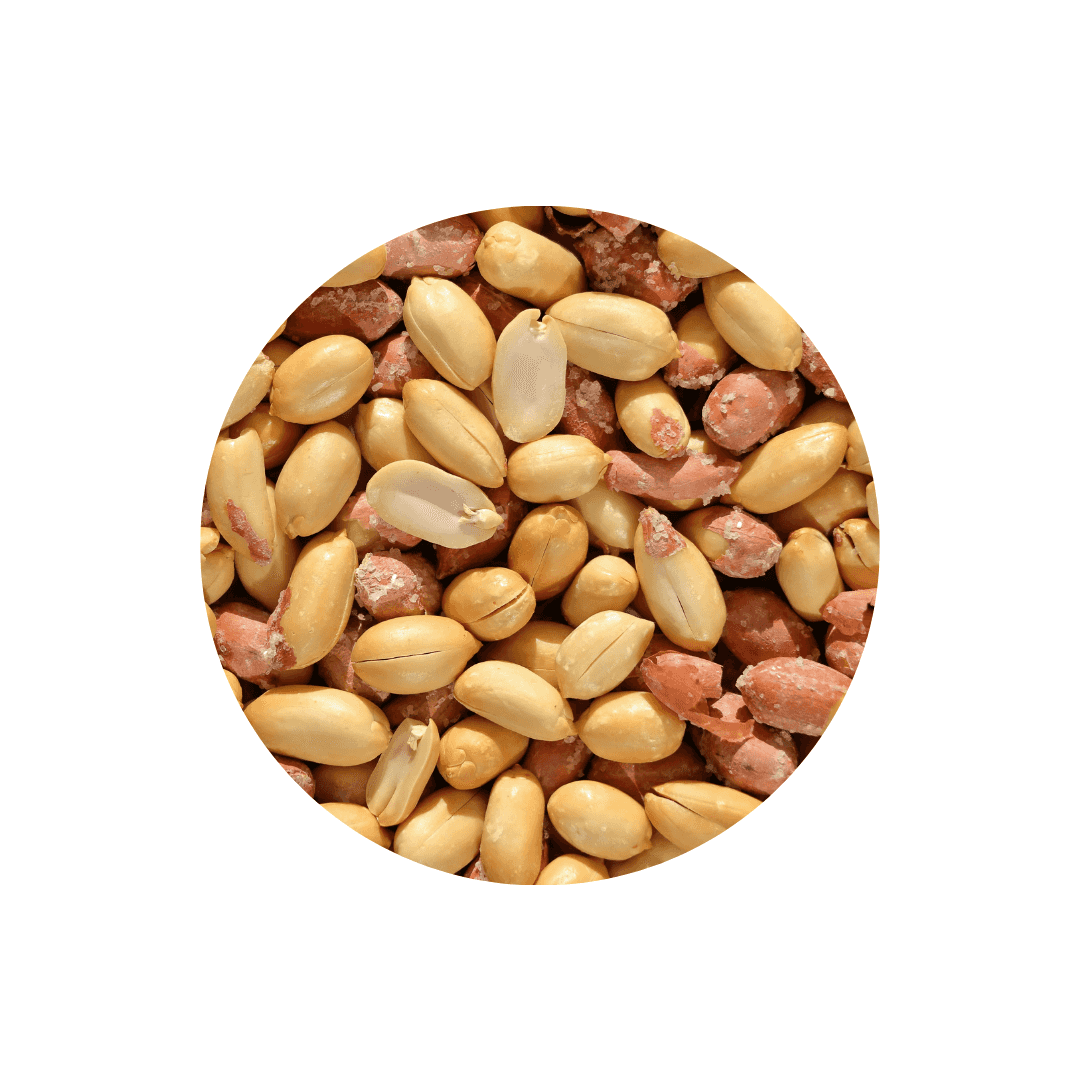 Arachides pour oiseaux