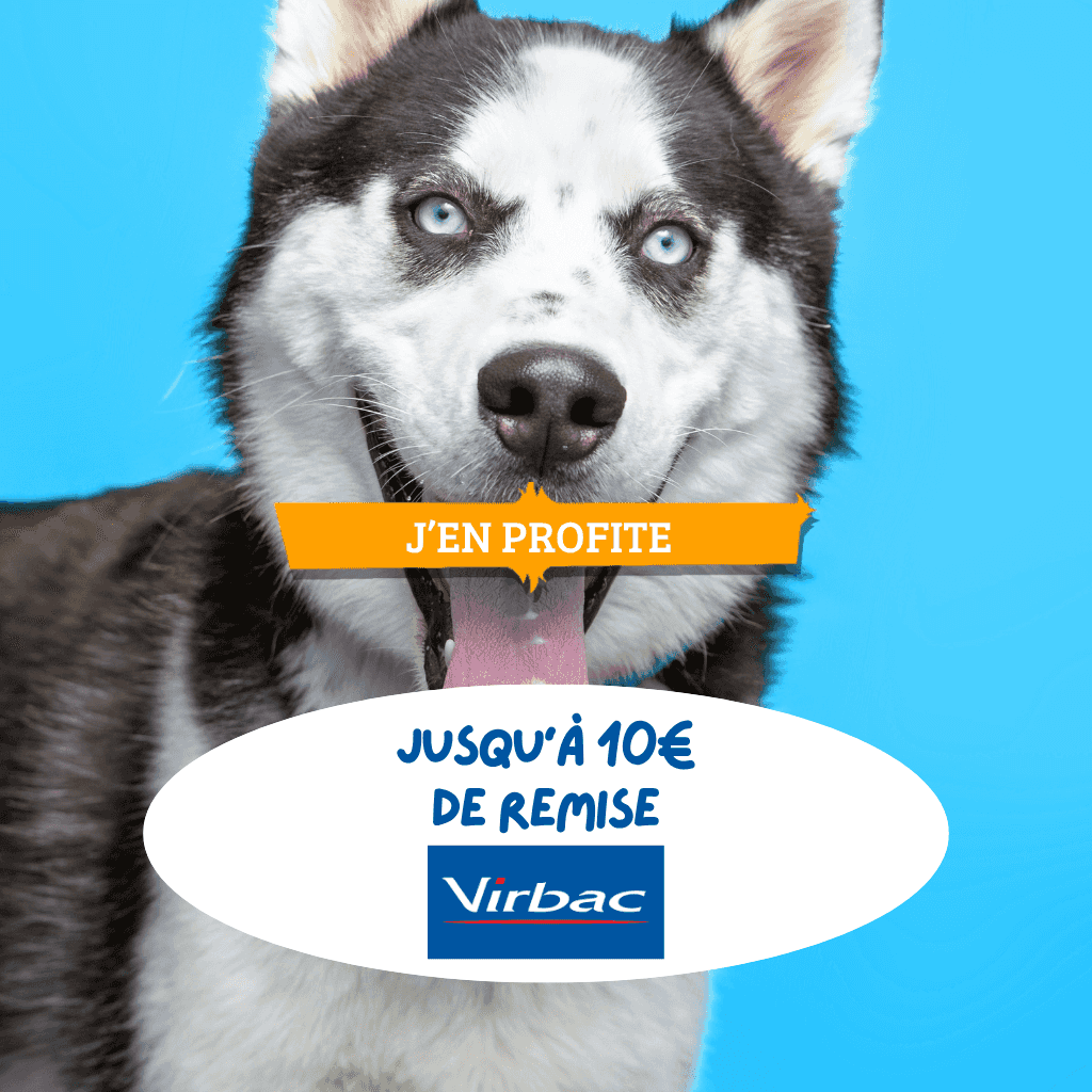 Bons plans