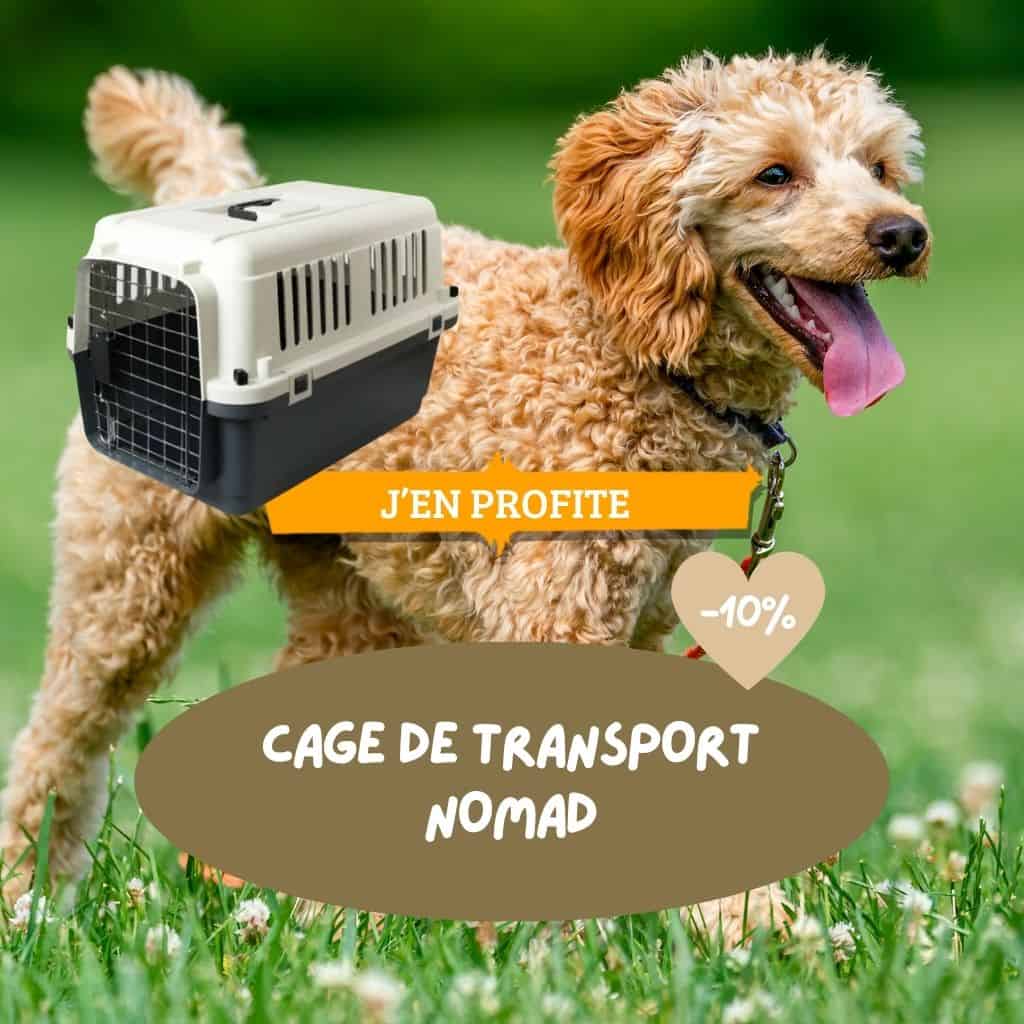 Toilettage : sélection de shampoings chien/chat avec remise de 10%