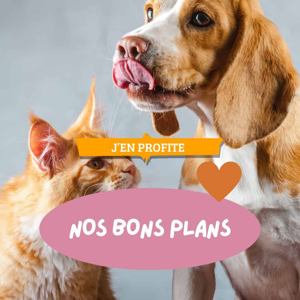 Bons plans