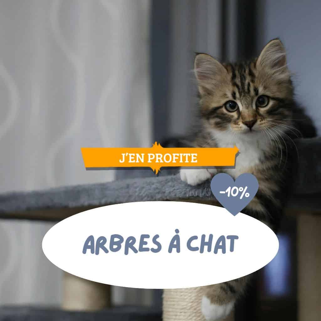Toilettage : sélection de shampoings chien/chat avec remise de 10%
