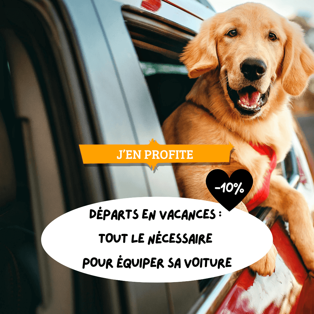 Bons plans