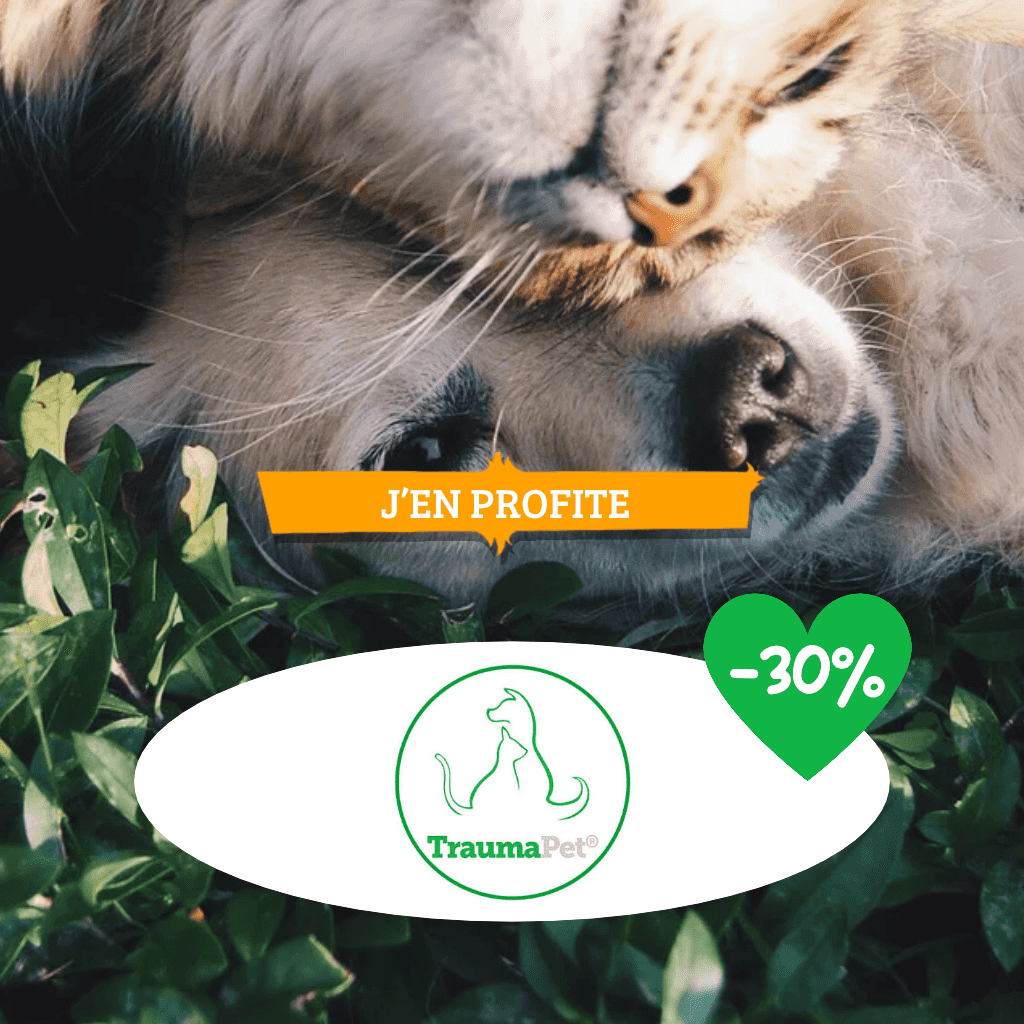 TraumaPet : 30% de réduction !