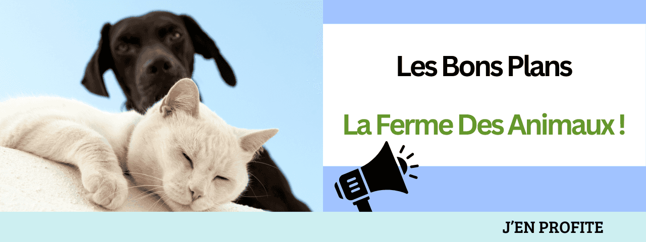 Les bons plans réductions