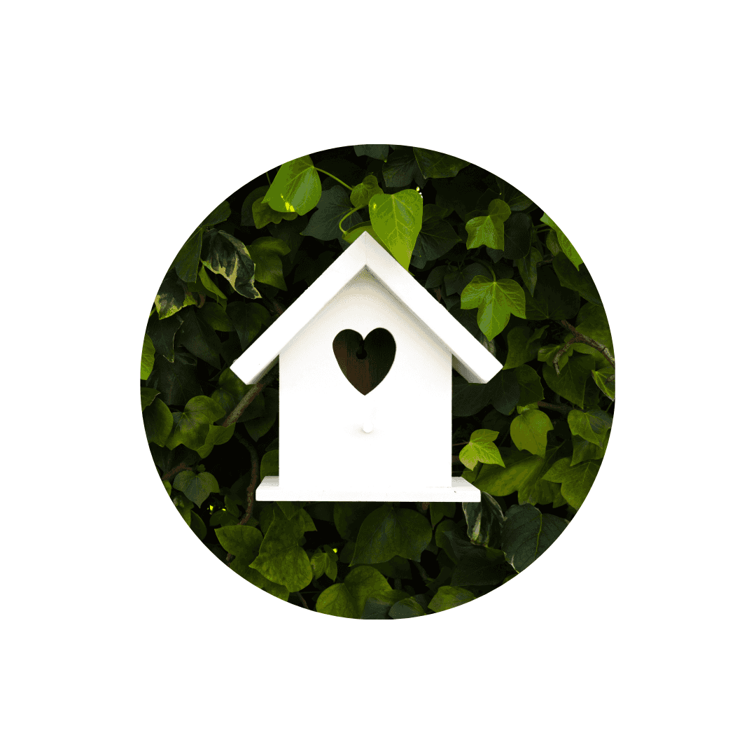 Habitat pour oiseaux