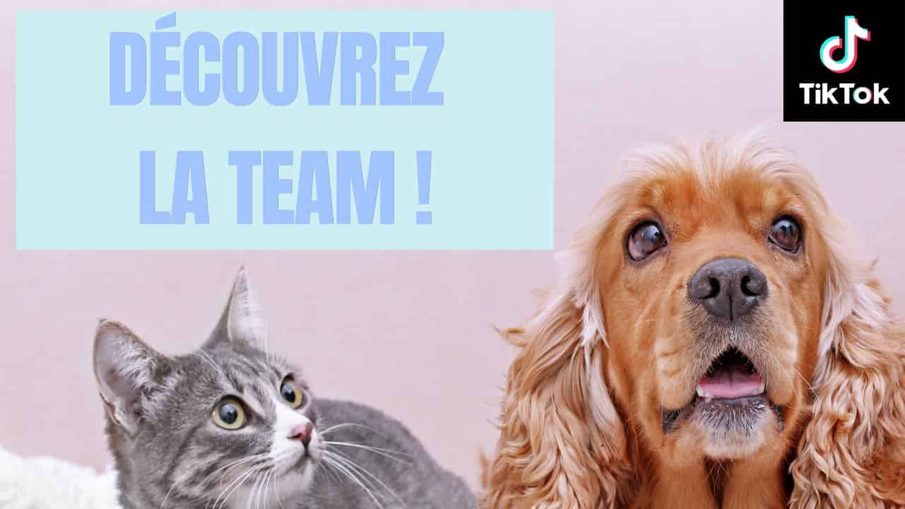 Qui sommes nous ?