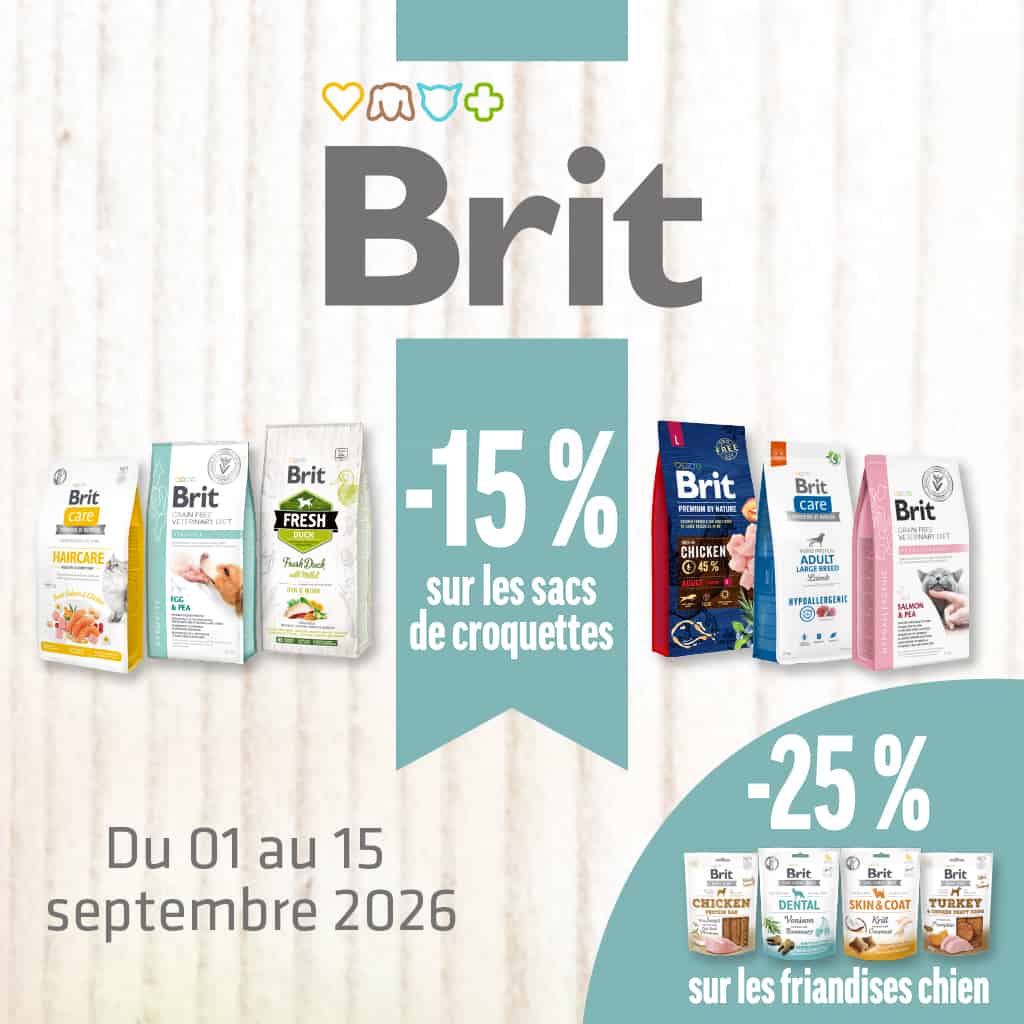 Profitez des offres BRIT !