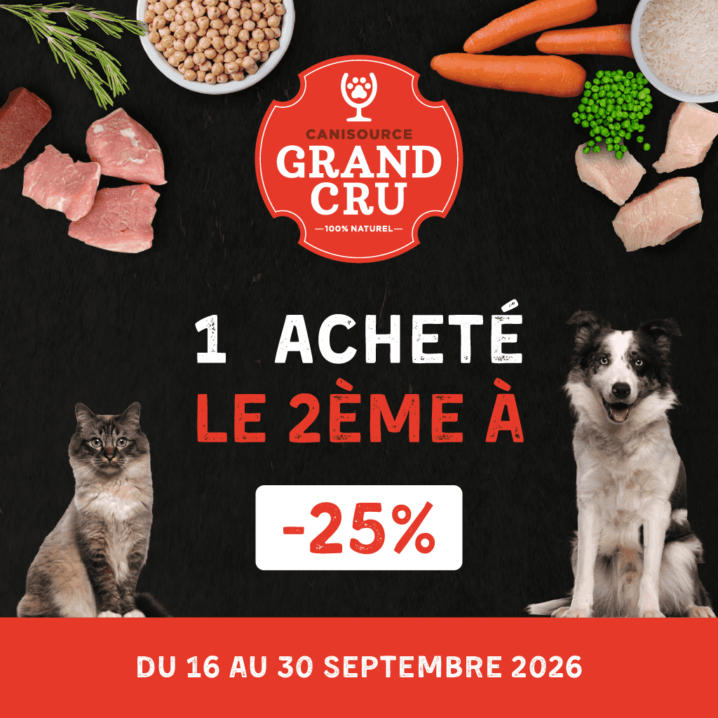 Profitez des offres BRIT !