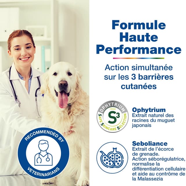 Shampooing Douxo S3 Séborrhée pour chien et chat