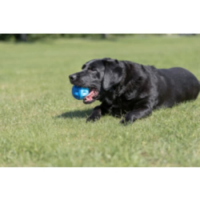 Balle rafraîchissante Trixie pour chien