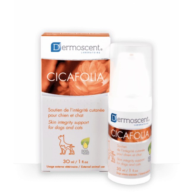 Dermoscent Cicafolia crème cicatrisante pour chats