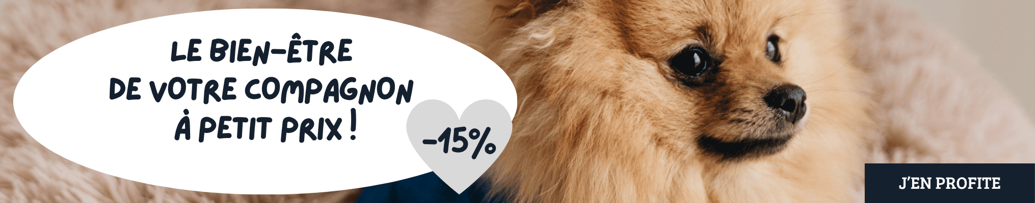 Le bien-être de votre compagnon à petit prix ! -15% sur une sélection Confort : peluches, doudous, tapis, coussins …