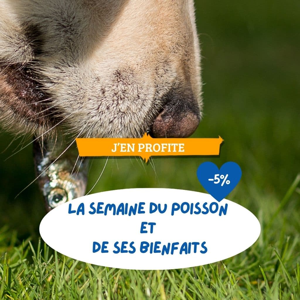 La semaine du poisson et de ses bienfaits ! Notre sélection d'aliments à base de poissons pour chiens & chats !