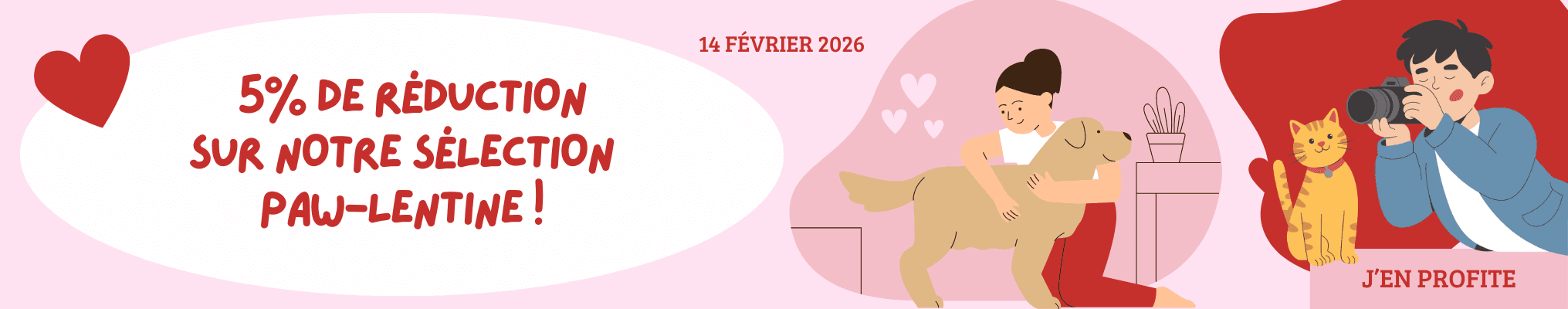 Saint-Valentin, ou plutôt : Paw-lentine ! Découvrez notre sélection rose, rouge et plus encore, avec 5 % de réduction !