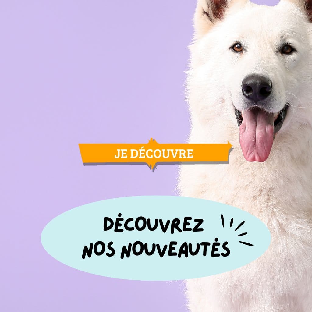 Nouveautés & Mises à jour