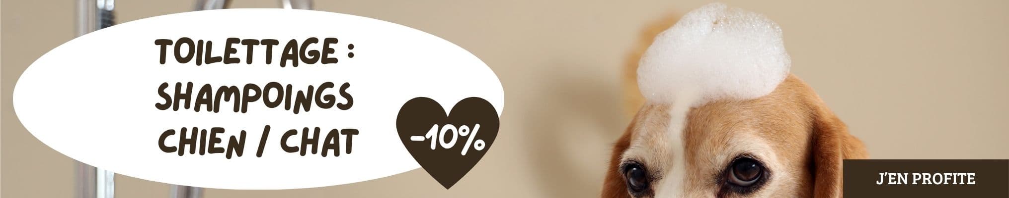 Toilettage : shampoings chien / chat