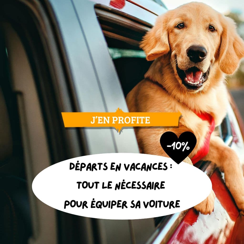 Départs en vacances : tout le nécessaire pour équiper sa voiture