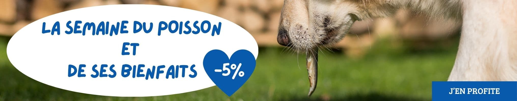 La semaine du poisson et de ses bienfaits ! Notre sélection d'aliments à base de poissons pour chiens & chats !