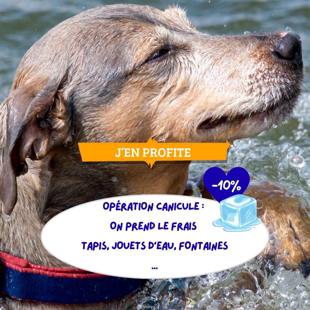 Bons plans