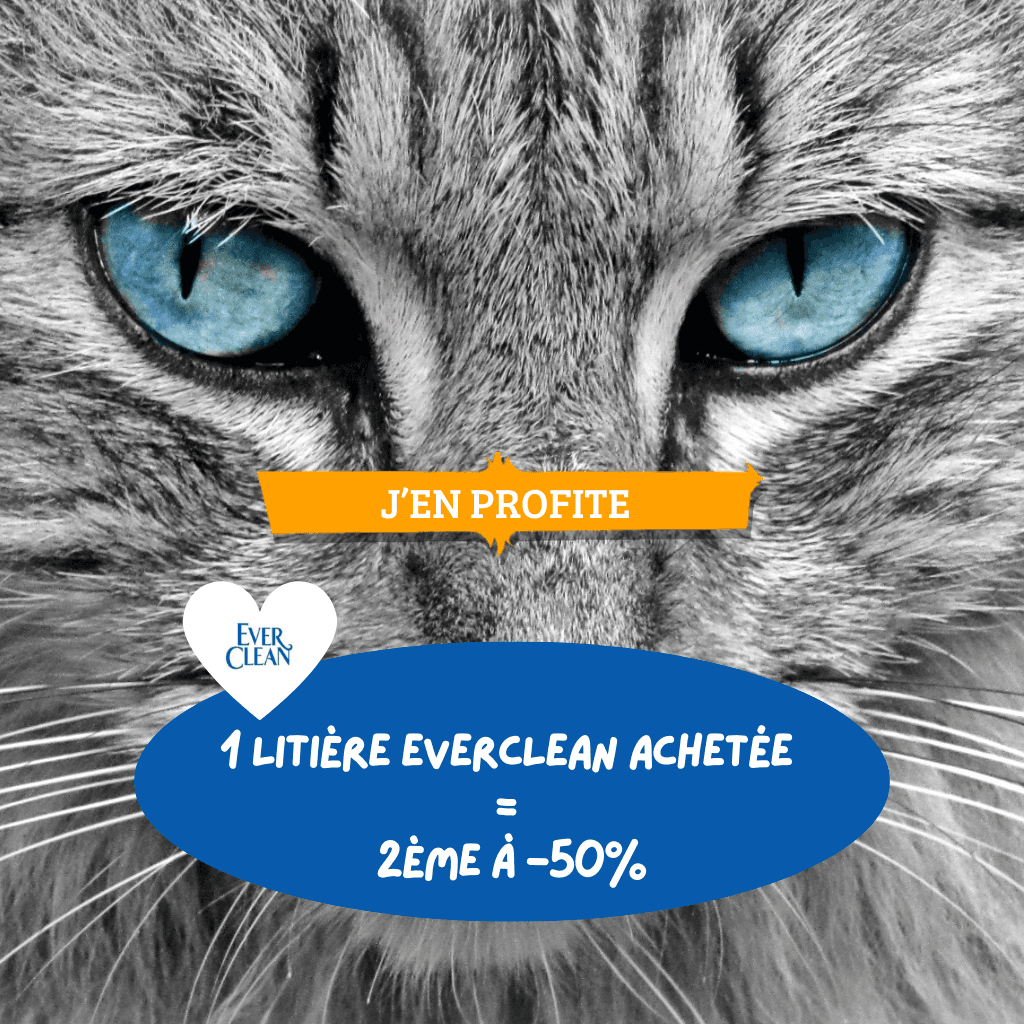 1 litière Everclean achetée = 2ème à -50%