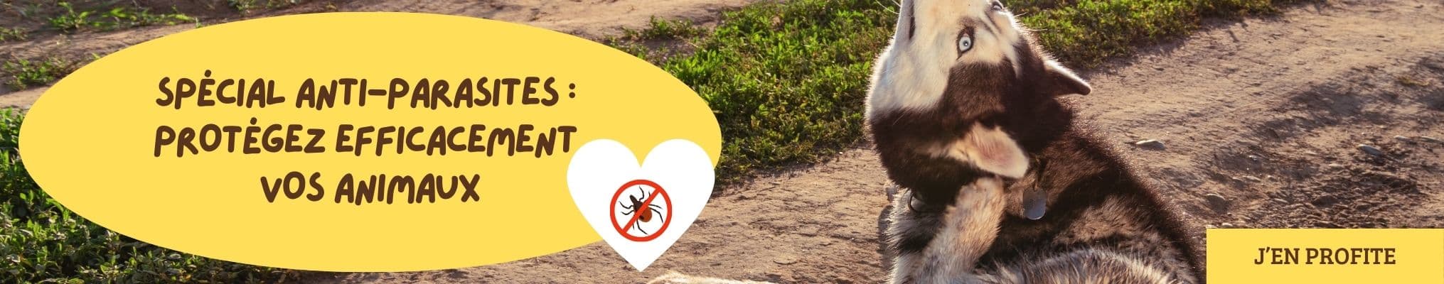Mois Spécial Anti-Parasites : Protégez efficacement vos animaux