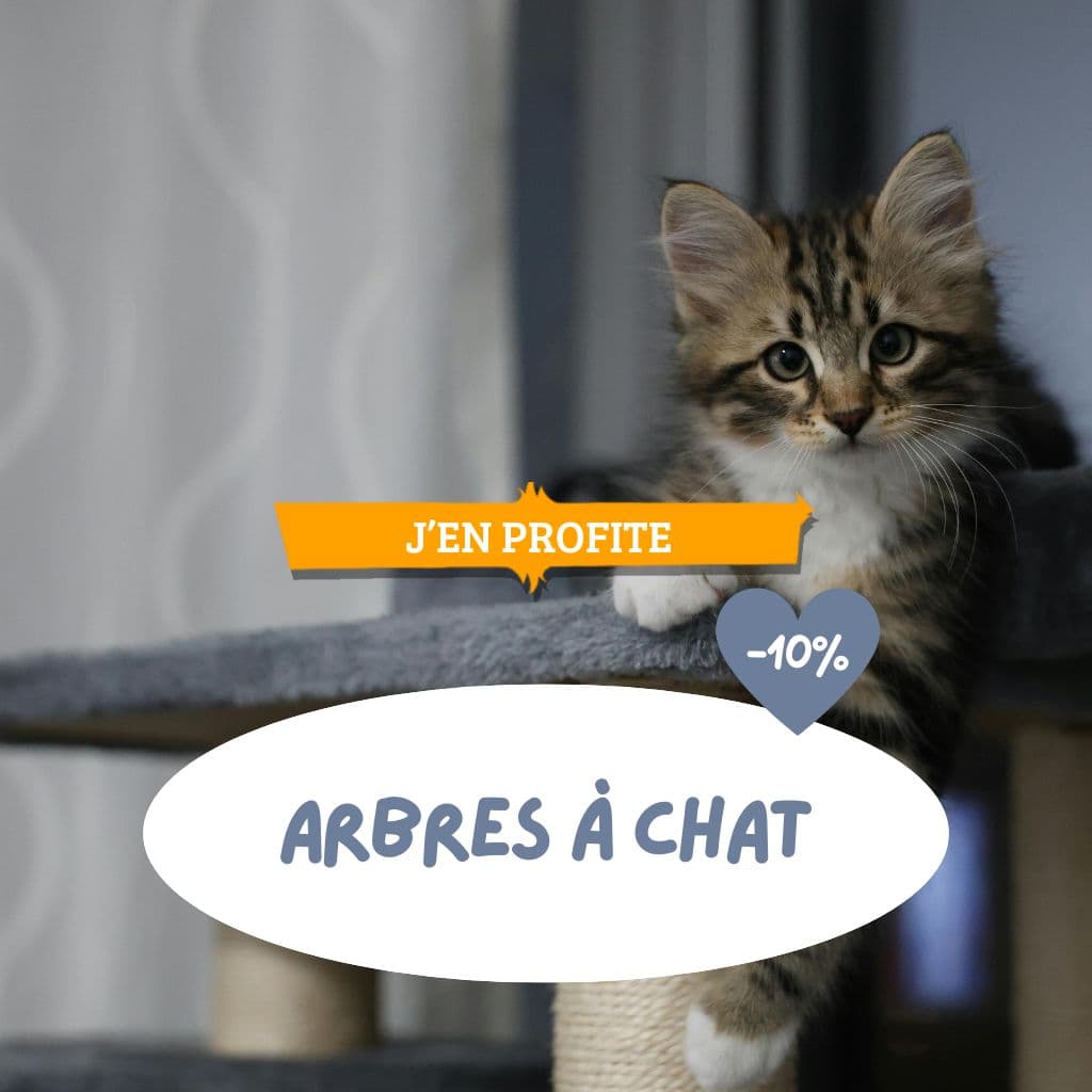 https://www.lafermedesanimaux.com/arbres-a-chat-promotion-10-remise