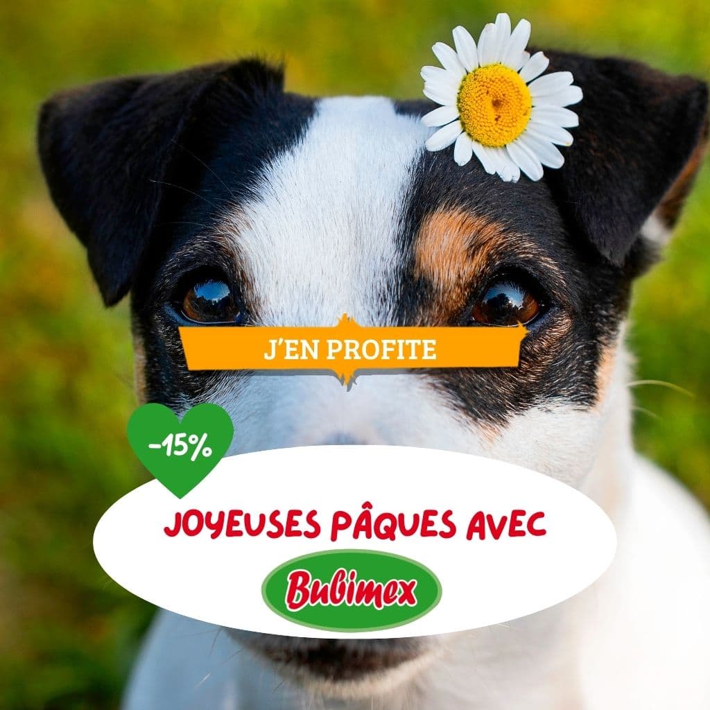 Joyeuses Pâques avec Bubimex -15%