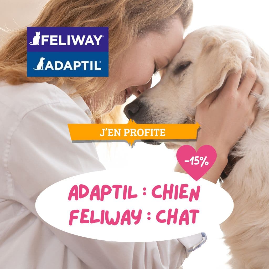 Départ en vacances : ADAPTIL et FELIWAY - 15% de réduction !