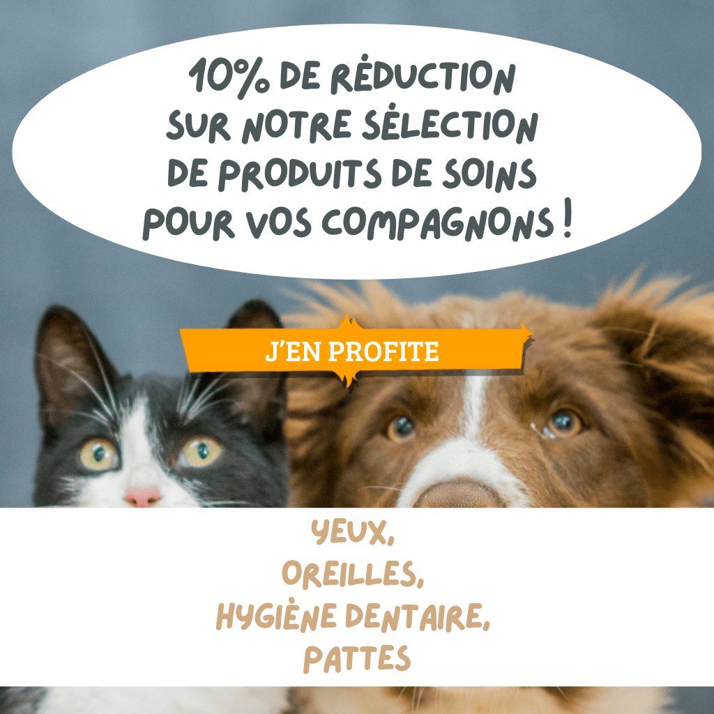 Découvrez notre sélection de produits de soins pour vos compagnons ! (yeux, oreilles, hygiène dentaire, pattes)