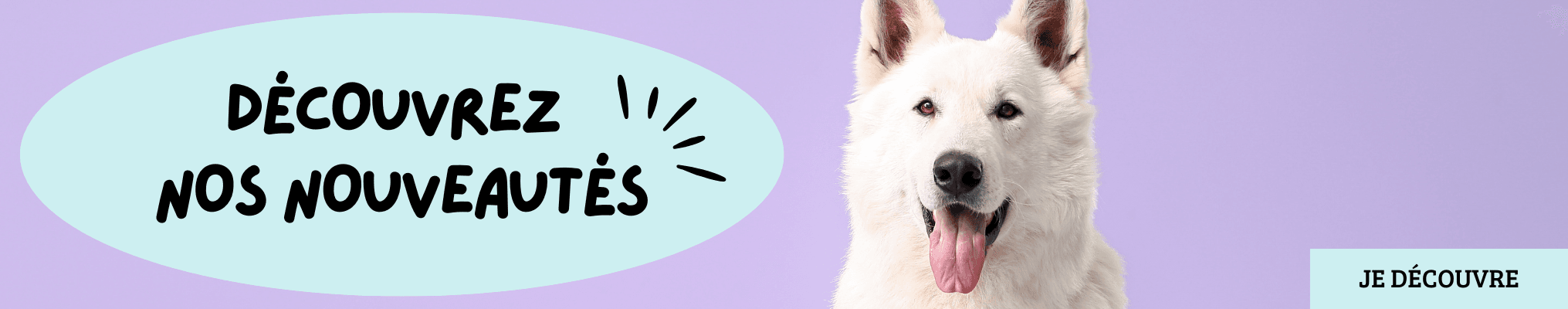 Nouveautés & Mises à jour