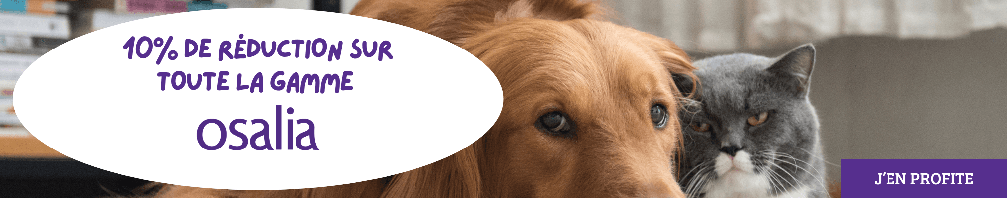 10% de réduction sur toute la gamme